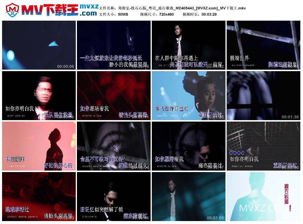 郑俊弘-铁石心肠_粤语_流行歌曲_MD405443